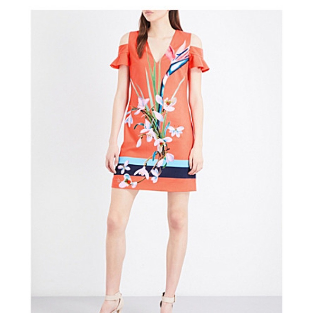 Ted Baker dress / NEW